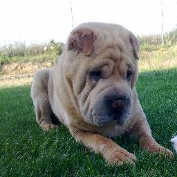 Jinete58's profile picture. 