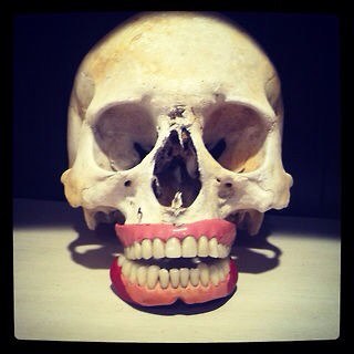 regalruby's profile picture. 