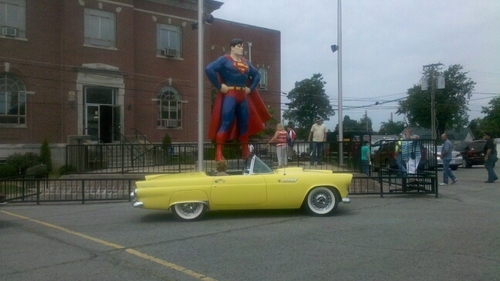 yellowbird1955's profile picture. trucker,car restorer,hot rod builder