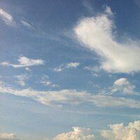 tegetegedesu (@tegeteg) 's Twitter Profile