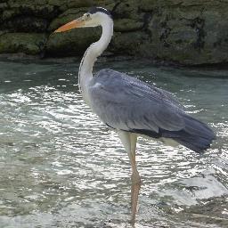 出雲市の動物病院、いずも神立動物病院です。地域のホームドクターとして丁寧な診察、わかりやすい説明を心がけています。どんなことでもお気軽にご相談ください。