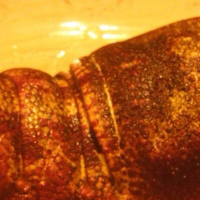 O Xrhsths 沖縄 セミエビ Sto Twitter 銀座 双寿さまでのフライです んまいっっ ゚d゚ それにしても このセミエビちゃん か かわいい 双寿さま Http T Co Gl0qdtdi6s Http T Co L4xmijfecz