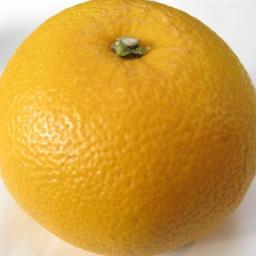 hassakun2's profile picture. 