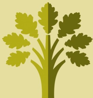 Providing self-catering accommodation in three delightful cottages in the beautiful New Forest.
