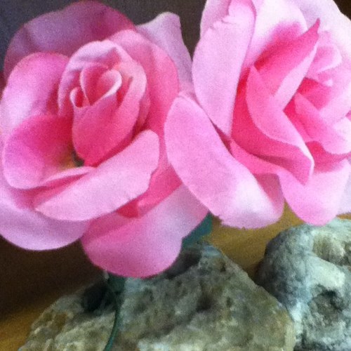 PushingDeep's profile picture. Pushing Deep since 91 *Parody Account* not affiliated with PushingDeep