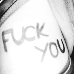 GerardMonti's profile picture. 