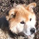 Carly Carroll :D - @Carlycarroll13 - Twitter