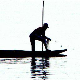 PhotoMan , A Good Image tells it all
