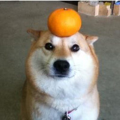 トウマフユキ Touma Huyuki Twitter