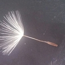 Abbie Edmonds - @ooAbbieoo - Twitter