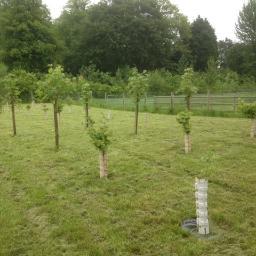 EcoEzee's profile picture. http://t.co/mBMJOV7uGo and http://t.co/y14YhqNyqs