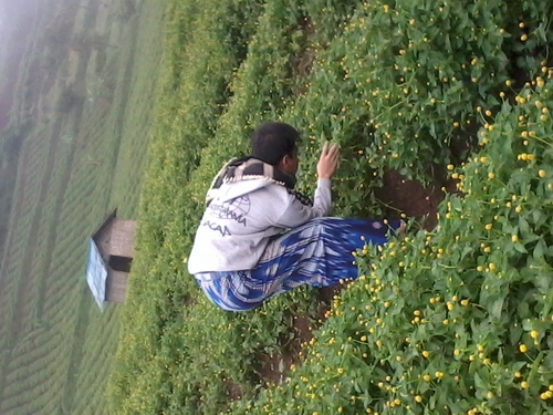 abdulkholiq129's profile picture. berharap suatu hari nanti q pasti bisa | ahlussunnah wal jamaah | cinta sholawat | syekher mania