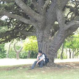 vmelparren's profile picture. Take  a sad song  and make it better