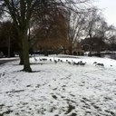 Abbey Park Show  - @AbbeyParkShow - Twitter