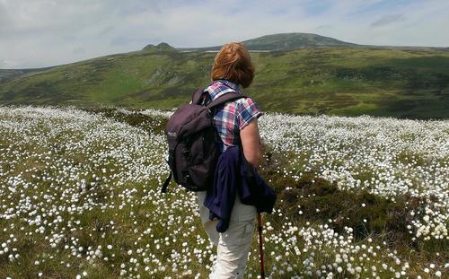 Love family, walking,(especially Northumberland, The Lake District and Scotland), soduko and the odd glass of vino!