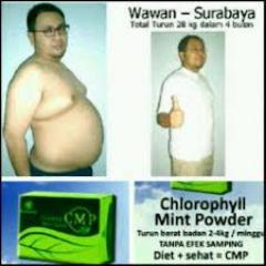 Miss CMP wanda NesV 3G Nusense Mr Pro MU Frutablend Evas