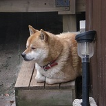 はなさんのプロフィール画像