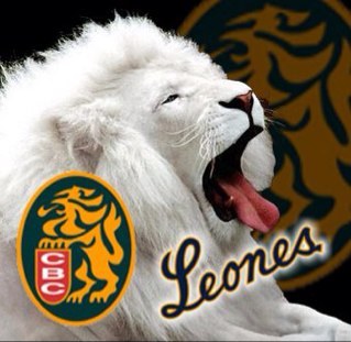 Primero soy Católico, de los Gloriosos Leones del Caracas y me gusta leer mucho. A la expectativa, esperando...