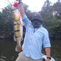 Raoul Cassani (@raoulcassani) 's Twitter Profile