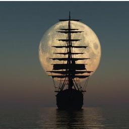 niazi_a's profile picture. بخواهید تا به شما داده شود 
بجویید تا بیابید
در بزنید تا برویتان باز شود