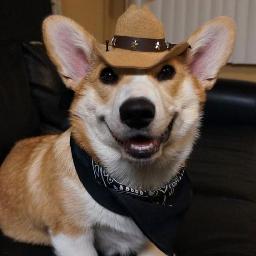 hoy!