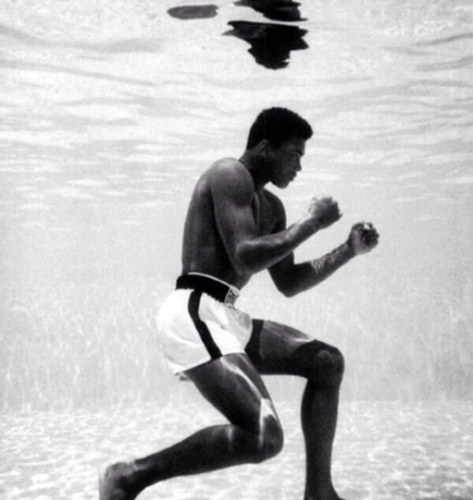 Tweeting The Best Black And White Sport Pics. The ORIGINAL Vintage Sports Pics Account. Tweet Us Your Requests & Vintage Pics