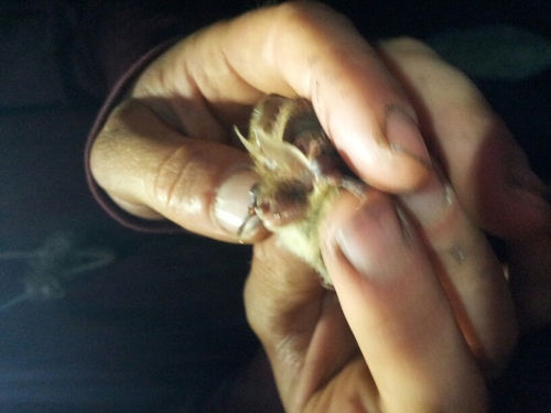 TBRietbergen's profile picture. 