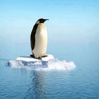 lemi (@osmanlemi) Twitter profile photo