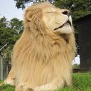 Richard Peach - @RPeachy - Twitter