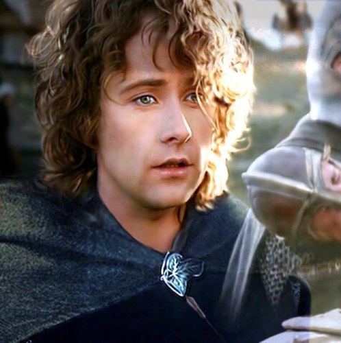 Playful young Hobbit,without a care in the world.Expert in fireworks and drinking…occasionally thought to be a fool! I'll love my dear @MeriadocMerry always #RP