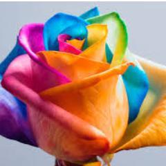 LouiseMahood's profile picture. Involved in a little rabble  rousing, political engagement, truth telling. Passions: civil discourse in a complex media world.