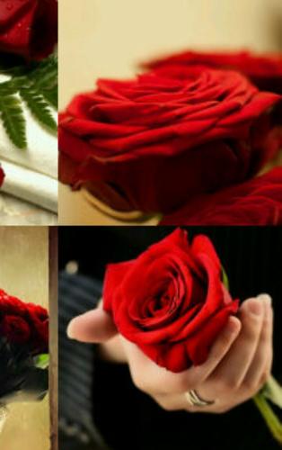 ‏‏‏‏لااله الا الله