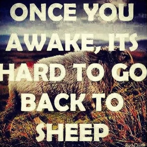 _worldproblems_'s profile picture. Informing you about the world's problems.