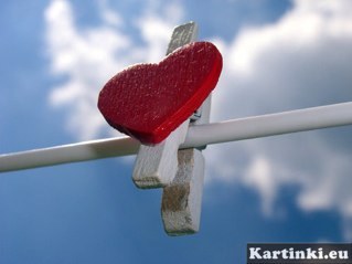 Margotoo12's profile picture. Keep calm and listen One Direction :)