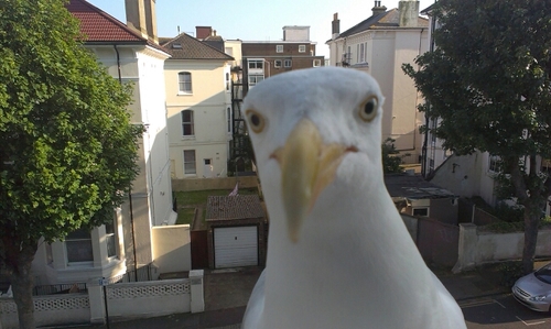 Emigrante andaluz. Scientist. Brighton citizen. Afortunado.
