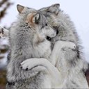 Stephen Howells - @Gogsy68 - Twitter