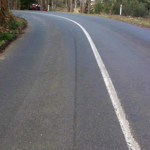 Badass Biker, Spin Cycler, Button Masher, Stick Shifter, Iron Lifter with a Singletrack Mind.