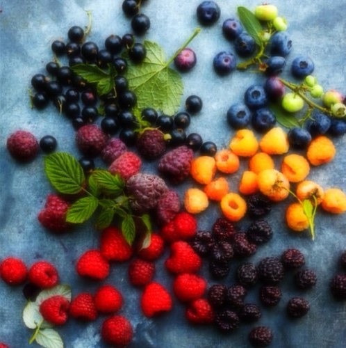 perledibellezza's profile picture. Consigli per una vita sana e di completo benessere.