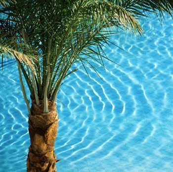 We are open for business now ! Leave stress behind and immerse yourself in the tropical fantasy world of Hyundae Hotel and Spa! Call 760-251-0663