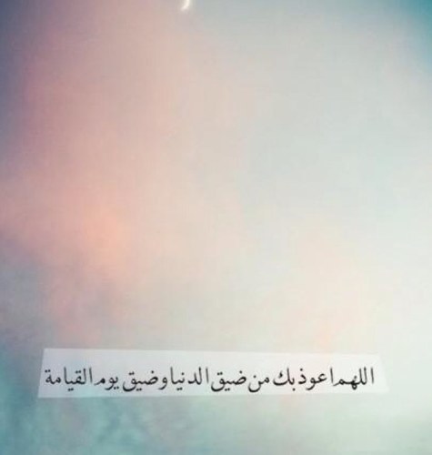 اللهم اكتب الاجر لـ جميع من زار هذا الحساب و جميع من قام بـ نشره و اجعله عملاً صالحا دائما لنا ♥.