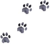 Amortentias1's profile picture. Amortentias foro rol RPG basado en Harry Potter