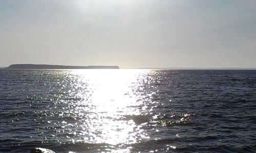 vchaulk's profile picture. 