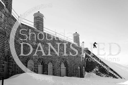 Shoulda'Danished Profile