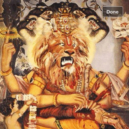 DeOlog's profile picture. 