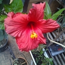 Jo Horne - @JojobooJo - Twitter