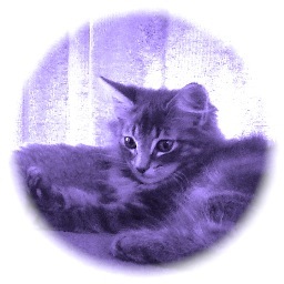 森猫家はノルの男の子２匹とその母で構成されています。 多趣味・器用貧乏・広くとても浅い・ハープ・歌・工芸・etc… 末尾「……」多し。フォローしていただいてもフォローバックするとは限りません。あしからず……
