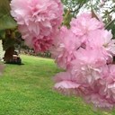 Sandra Giddens - @spy0071946 - Twitter