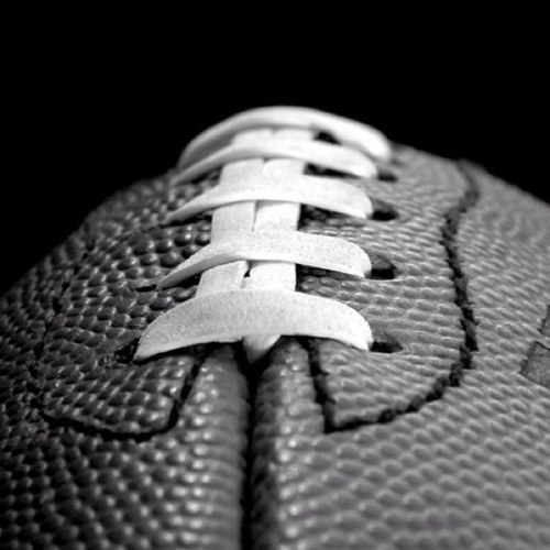 photecs's profile picture. 