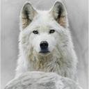 Sam Spike - @Spike9Sam - Twitter