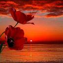 Marcel Lachance - @Marsxoxoxoxoxox - Twitter